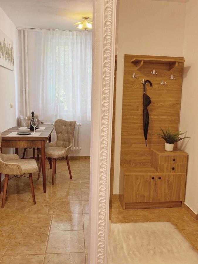 Timisoara Central Apartament Apartment Екстериор снимка