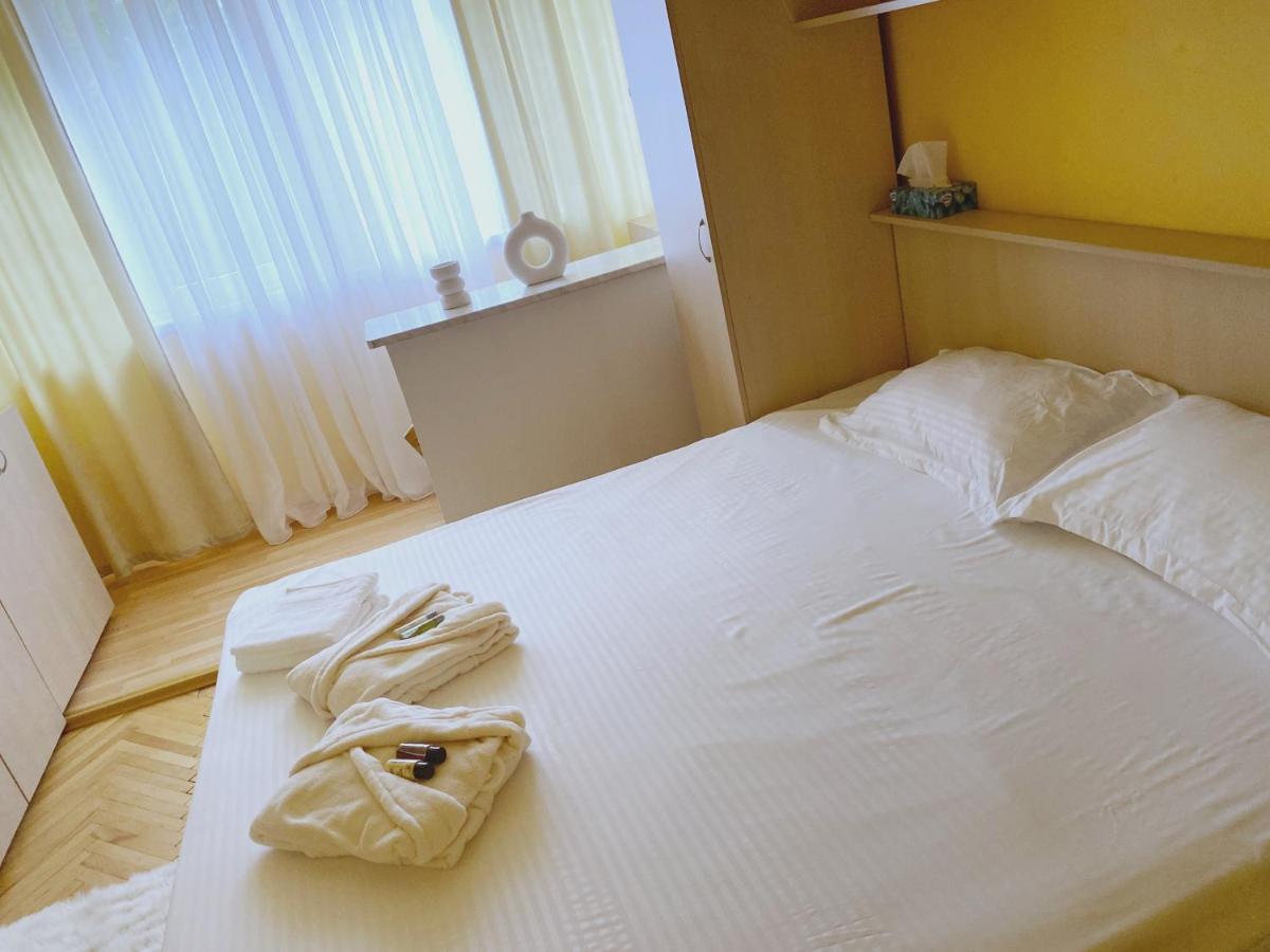 Timisoara Central Apartament Apartment Екстериор снимка